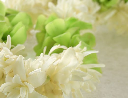 tuberose