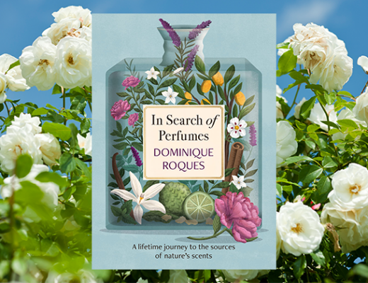 In Search of Perfumes